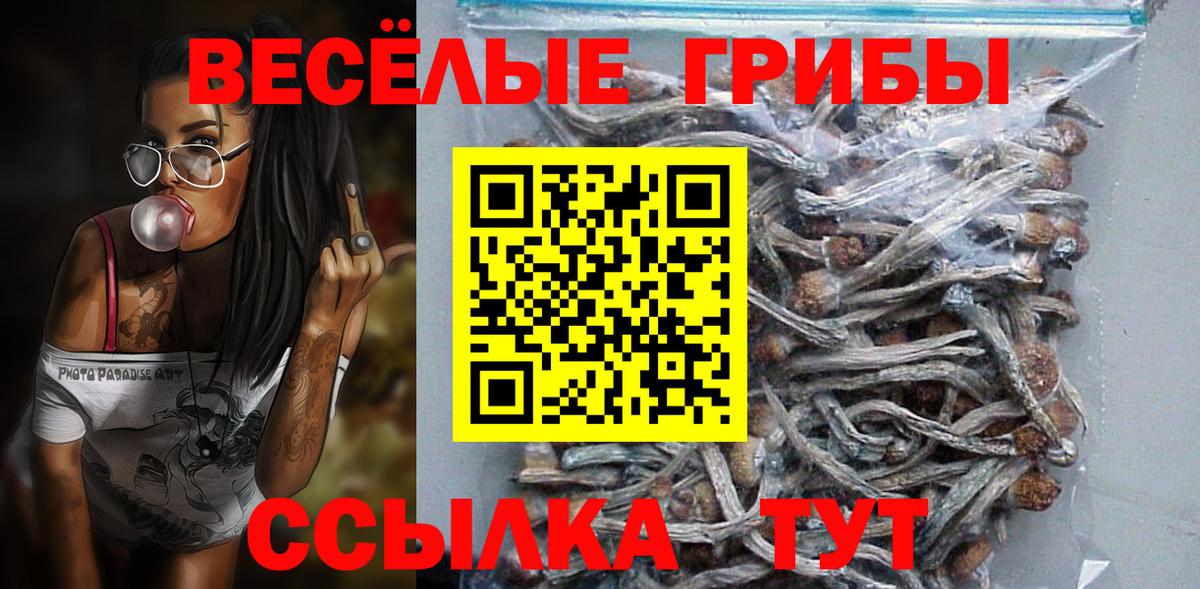 купить закладку  Вход с VPN  Гусь-Хрустальный  Галлюциногенные грибы Psilocybe 