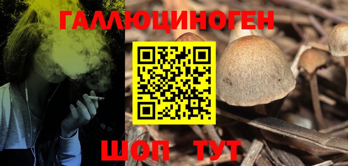 Псилоцибиновые грибы мицелий Гусь-Хрустальный